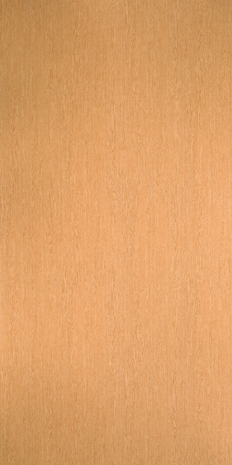 Formica Cora